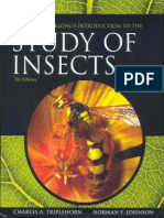 Borror Delong 2005 Study of Insects