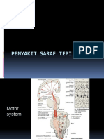 Penyakit Saraf Tepi