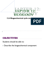 12.4 Biogeochemical Cycle Component