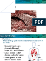 Powerpoint #5: Honors Biology