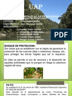 Bosques de Proteccion