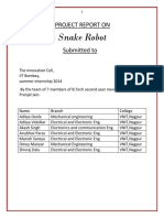 Snake Robot Report