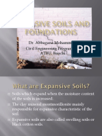 Expansive Soils and Foundations