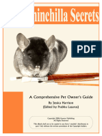 Chinchilla Secrets