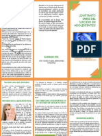 Triptico Suicidio PDF