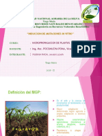 Induccion de Mutaciones in Vitro