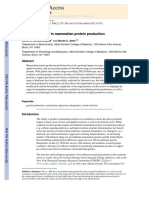 Mammalian Expression Systems