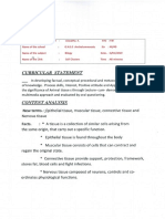 Innovative Lesson Template