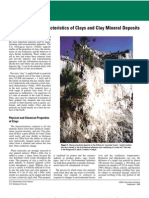 Environmental Characteristics of Clays and Clay Mineral Deposits