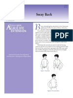 E382 Pattern Alteration - Sway Back Sewing Modification