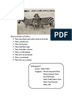Characteristics of Zebra