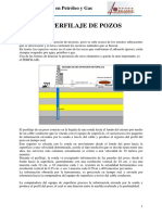 Perfilaje PDF