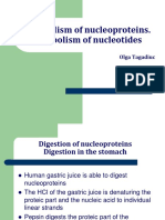 Metabolism of Nucleoproteins Part I