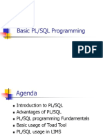 Basic PL-SQL