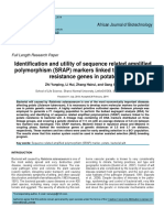 Sequence Related Amplified Polymorphism (SRAP) Marker, Potato, Bacterial Wilt.