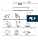 Prueba Ciencias Seres Vivos