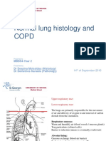 Normal Histology of The Lung and Pathophysiology of COPD (T Year)