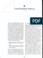 Central Metabolic Pathway (White - Chap8)