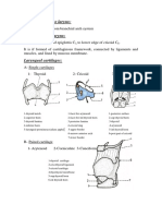 Larynx Wrote by DR Nassem Talaat