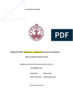 Simulacion 4D Setup PDF