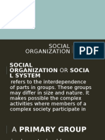 Social Organization