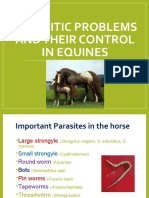 Parasitic Problems and Their Control in Equines