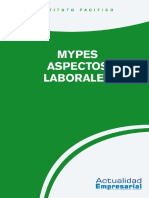 MYPES Aspectos Laborales PDF