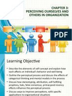 Perceiving Ourselves and Others in Organization