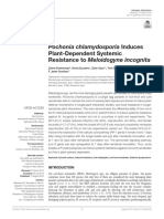 Pochonia Chlamydosporia 2019 PDF