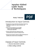 Computer-Aided Audit Tools and Techniques: Randy T. Manzano