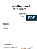 Cerebellum and Brain Stem: DR Asim Shrestha SRCC Ped Neuro Fellow Mumbai