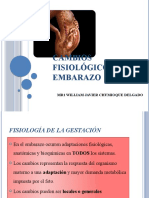 Expo Fisiologia William