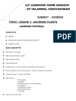 OWING PLANTS - Learning Material