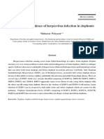 Diversity and Virulence of Herpesvirus Infection in Elephants