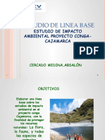 Estudio de Linea Base Ambiental Proyecto Conga Cajamarca