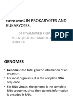 Genomes in Prokaryotes and Eukaryotes