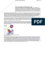 Appendix E.I. How Do Researchers Use Markers To Identify Stem Cells?