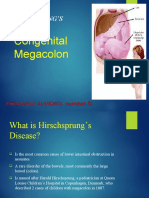 Congenital Megacolon: (Hirschsprung'S