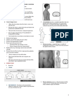 Respiratory System Assessment