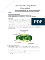 Photosynthesis Notes - Biology