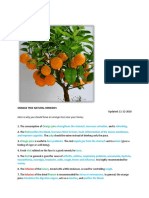 Orange Tree Natural Remedies