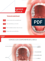 Rotafolio Informacion General de La Cavidad Bucal