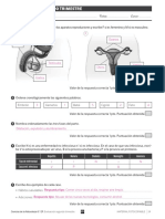 6epcn SV EXAMEN t2 Ev So PDF