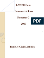 Week 3 - Civil Liability