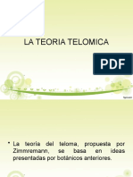 Clase 6 Teoria Telomica