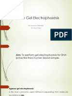 Agarose Gel Electrophoresis