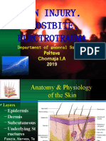 Burn Injury. Frostbite. Elrctrotrauma: Department of General Surgery