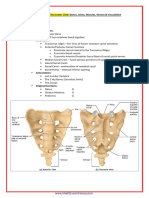 A&P - 6. Pelvic & Lower Limb Detailed Anatomy (42p)