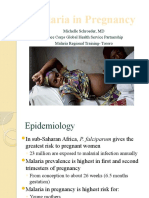 Malaria in Pregnancy