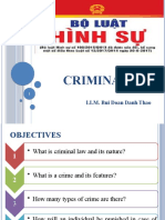 Criminal Law: LLM. Bui Doan Danh Thao